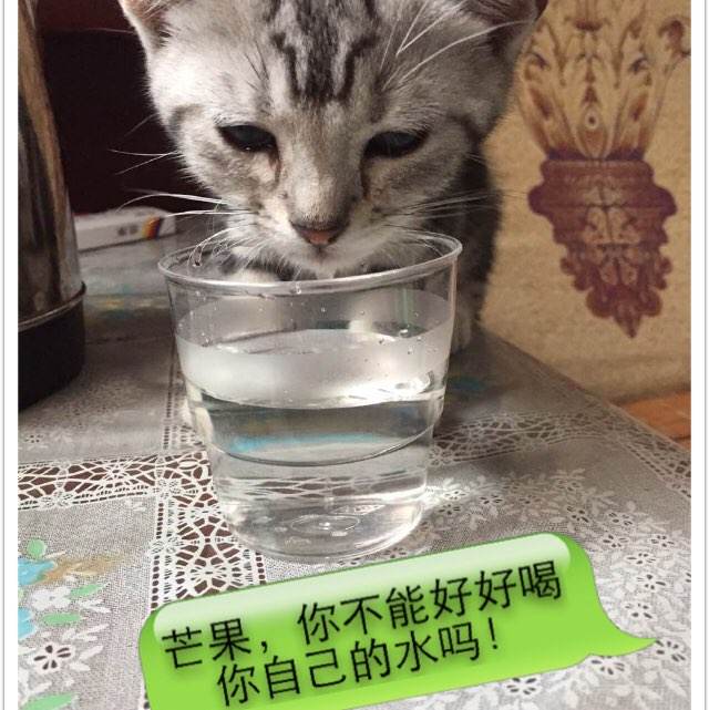 博士有学历证书么
